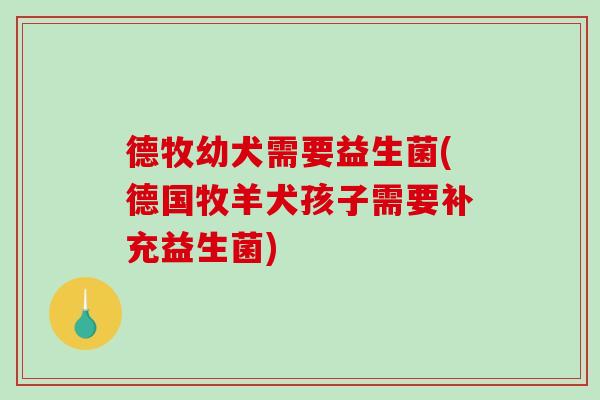 德牧幼犬需要益生菌(德国牧羊犬孩子需要补充益生菌)