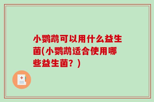 小鹦鹉可以用什么益生菌(小鹦鹉适合使用哪些益生菌？)