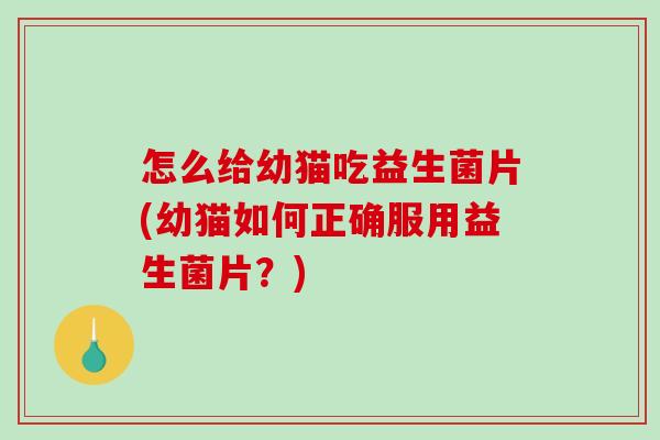 怎么给幼猫吃益生菌片(幼猫如何正确服用益生菌片？)