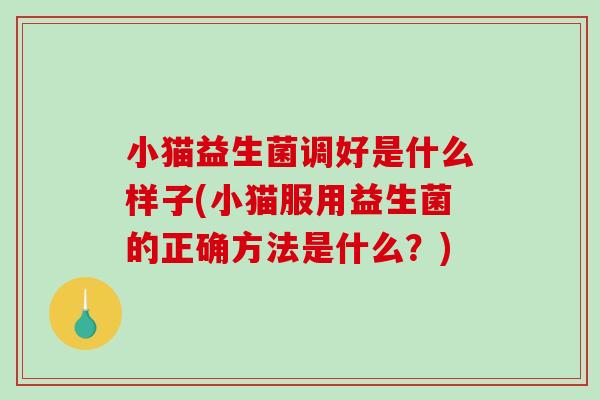 小猫益生菌调好是什么样子(小猫服用益生菌的正确方法是什么？)