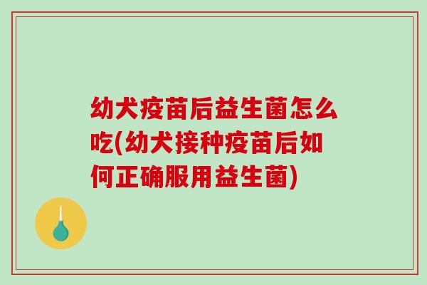 幼犬疫苗后益生菌怎么吃(幼犬接种疫苗后如何正确服用益生菌)