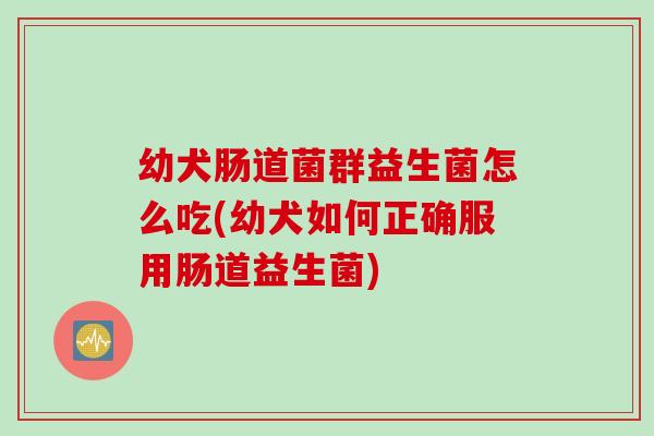 幼犬肠道菌群益生菌怎么吃(幼犬如何正确服用肠道益生菌)