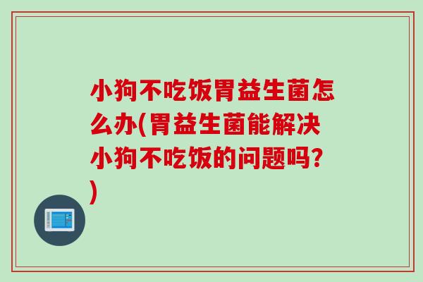 小狗不吃饭胃益生菌怎么办(胃益生菌能解决小狗不吃饭的问题吗?) 小狗不吃饭胃益生菌怎么办(胃益生菌能解决小狗不吃饭的问题吗?)
