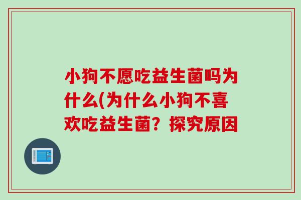 小狗不愿吃益生菌吗为什么(为什么小狗不喜欢吃益生菌？探究原因