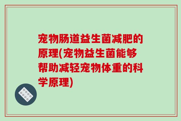 宠物肠道益生菌减肥的原理(宠物益生菌能够帮助减轻宠物体重的科学原理)