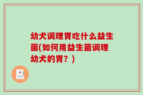 幼犬调理胃吃什么益生菌(如何用益生菌调理幼犬的胃？)