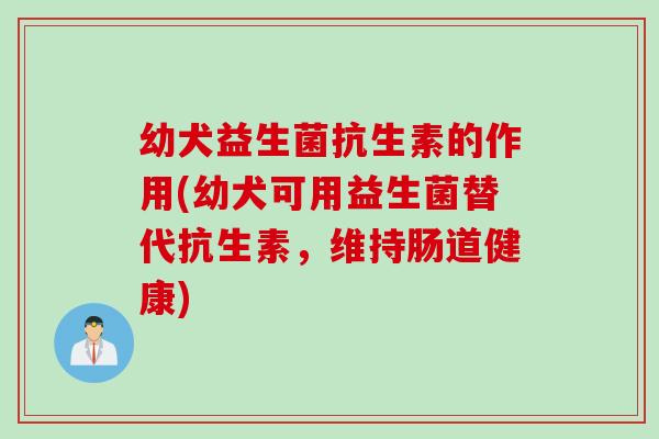 幼犬益生菌抗生素的作用(幼犬可用益生菌替代抗生素，维持肠道健康)