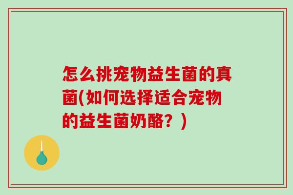 怎么挑宠物益生菌的真菌(如何选择适合宠物的益生菌奶酪？)