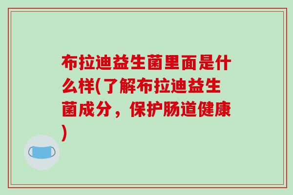布拉迪益生菌里面是什么样(了解布拉迪益生菌成分，保护肠道健康)