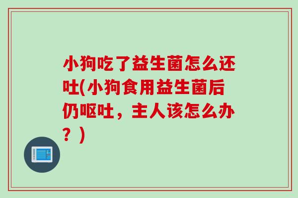 小狗吃了益生菌怎么还吐(小狗食用益生菌后仍呕吐，主人该怎么办？)