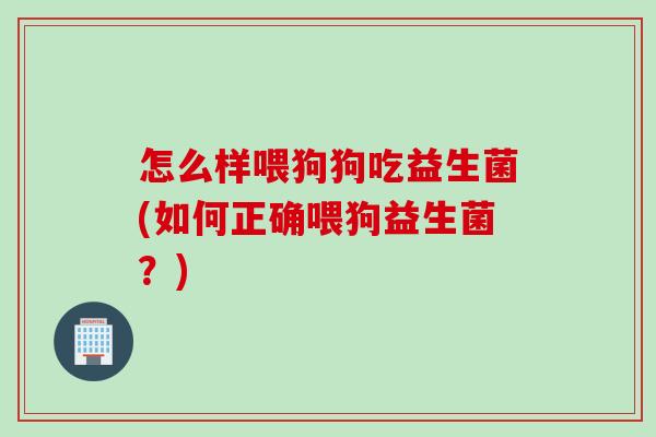 怎么样喂狗狗吃益生菌(如何正确喂狗益生菌？)