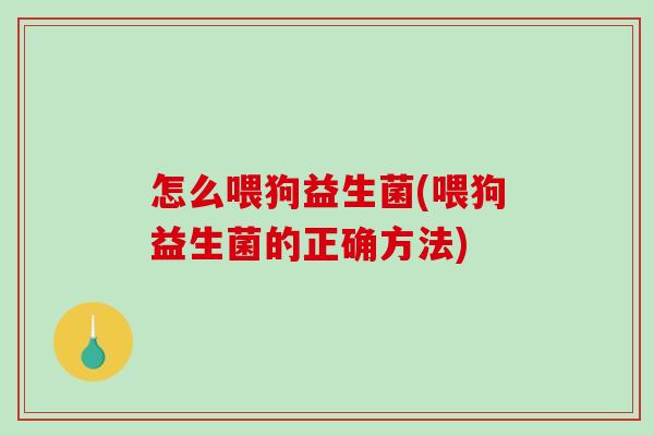 怎么喂狗益生菌(喂狗益生菌的正确方法)
