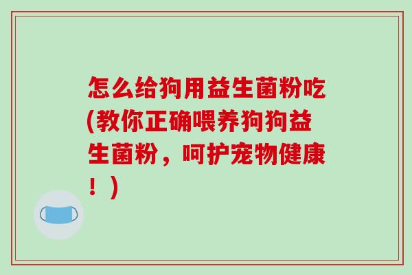 怎么给狗用益生菌粉吃(教你正确喂养狗狗益生菌粉，呵护宠物健康！)
