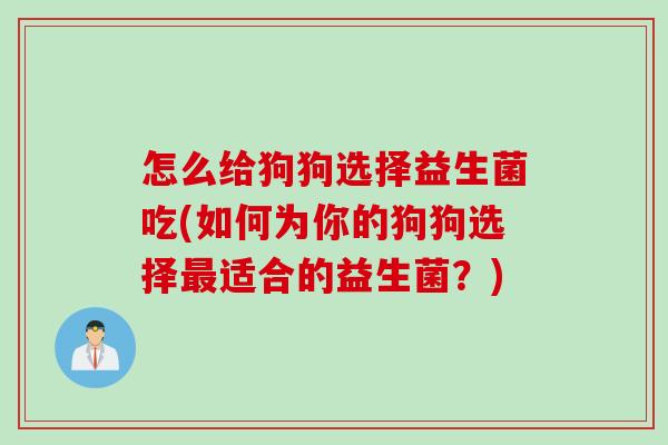 怎么给狗狗选择益生菌吃(如何为你的狗狗选择最适合的益生菌？)