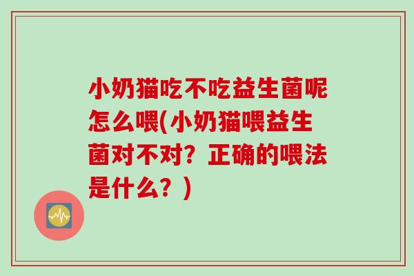 小奶猫吃不吃益生菌呢怎么喂(小奶猫喂益生菌对不对？正确的喂法是什么？)