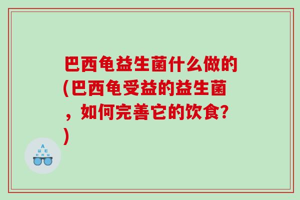 巴西龟益生菌什么做的(巴西龟受益的益生菌，如何完善它的饮食？)