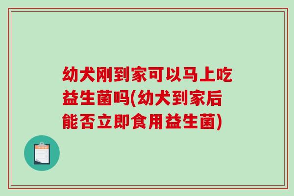 幼犬刚到家可以马上吃益生菌吗(幼犬到家后能否立即食用益生菌)