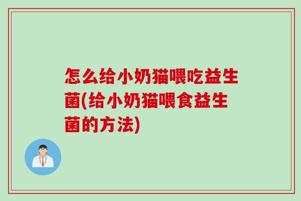 怎么给小奶猫喂吃益生菌(给小奶猫喂食益生菌的方法)