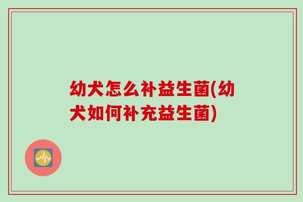 幼犬怎么补益生菌(幼犬如何补充益生菌)