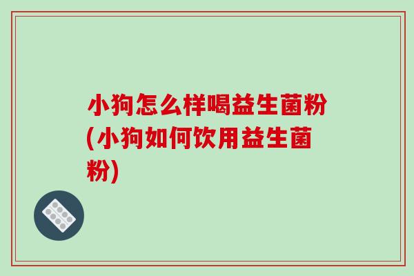 小狗怎么样喝益生菌粉(小狗如何饮用益生菌粉) 小狗怎么样喝益生菌粉(小狗如何饮用益生菌粉)