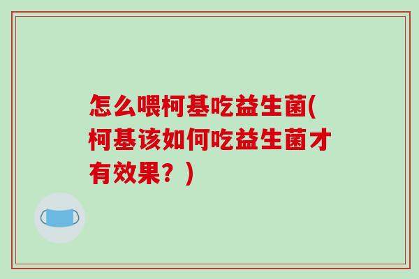 怎么喂柯基吃益生菌(柯基该如何吃益生菌才有效果？)