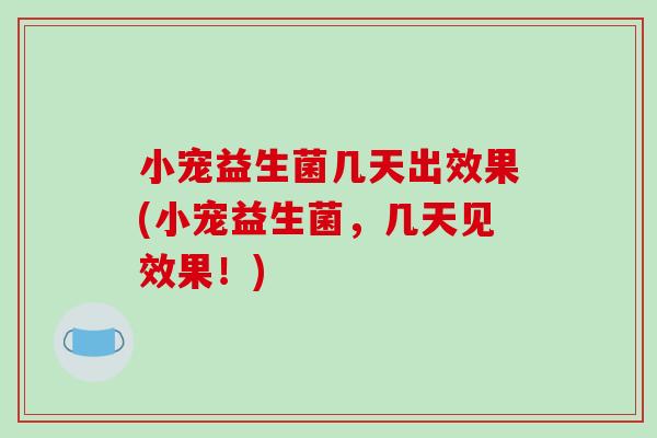 小宠益生菌几天出效果(小宠益生菌，几天见效果！)