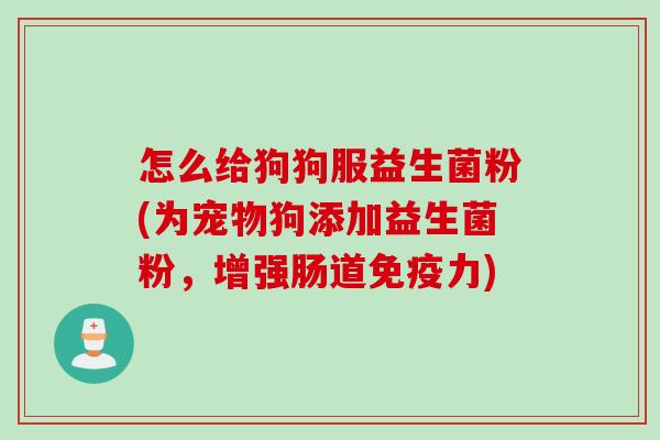 怎么给狗狗服益生菌粉(为宠物狗添加益生菌粉,增强肠道力) 怎么给狗狗服益生菌粉(为宠物狗添加益生菌粉,增强肠道力)