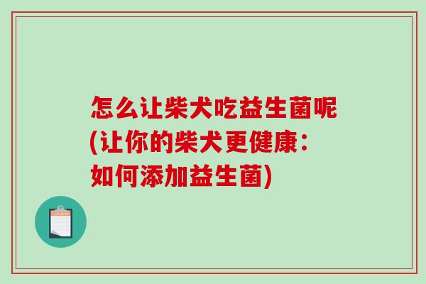 怎么让柴犬吃益生菌呢(让你的柴犬更健康:如何添加益生菌) 怎么让柴犬吃益生菌呢(让你的柴犬更健康:如何添加益生菌)