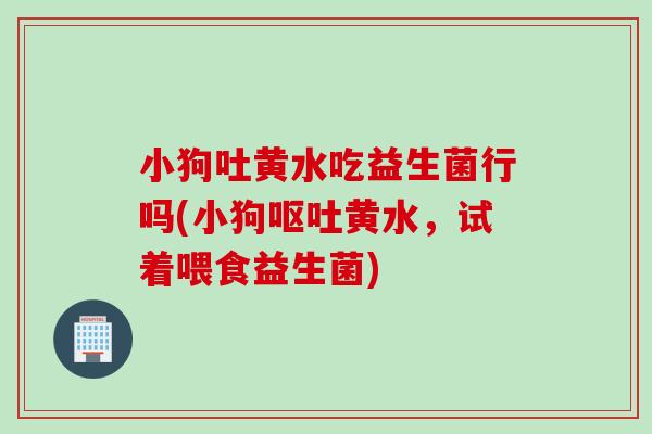 小狗吐黄水吃益生菌行吗(小狗黄水,试着喂食益生菌) 小狗吐黄水吃益生菌行吗(小狗黄水,试着喂食益生菌)