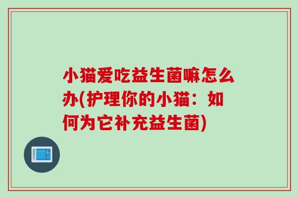 小猫爱吃益生菌嘛怎么办(护理你的小猫：如何为它补充益生菌)