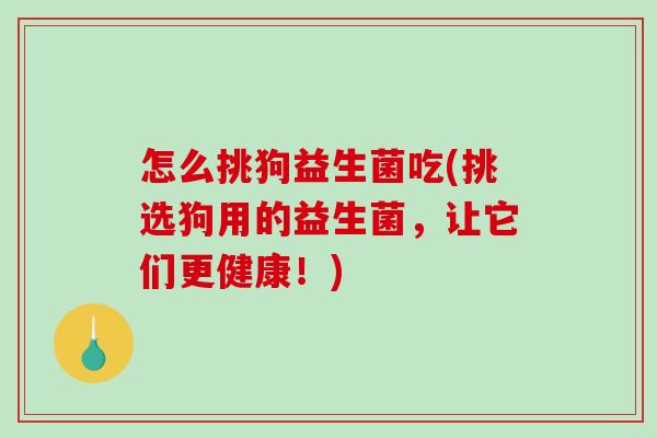 怎么挑狗益生菌吃(挑选狗用的益生菌,让它们更健康!) 怎么挑狗益生菌吃(挑选狗用的益生菌,让它们更健康!)