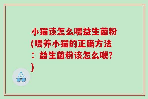 小猫该怎么喂益生菌粉(喂养小猫的正确方法：益生菌粉该怎么喂？)