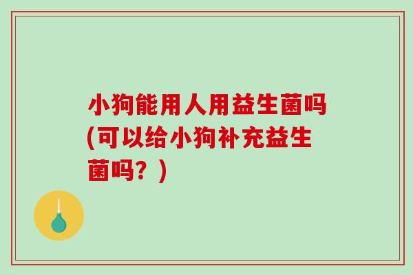 小狗能用人用益生菌吗(可以给小狗补充益生菌吗？)