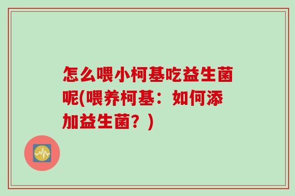 怎么喂小柯基吃益生菌呢(喂养柯基：如何添加益生菌？)