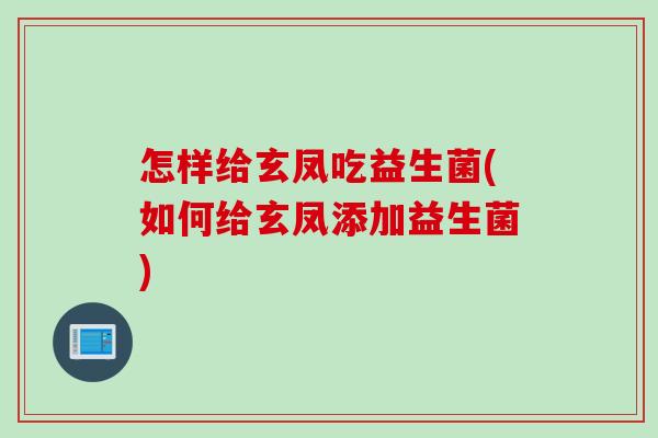 怎样给玄凤吃益生菌(如何给玄凤添加益生菌)