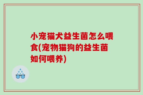 小宠猫犬益生菌怎么喂食(宠物猫狗的益生菌如何喂养) 小宠猫犬益生菌怎么喂食(宠物猫狗的益生菌如何喂养)