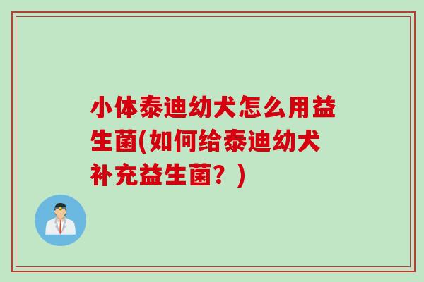 小体泰迪幼犬怎么用益生菌(如何给泰迪幼犬补充益生菌？)