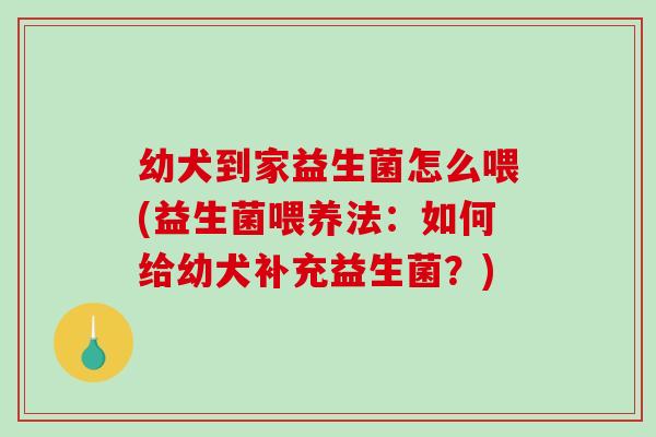 幼犬到家益生菌怎么喂(益生菌喂养法：如何给幼犬补充益生菌？)