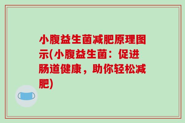 小腹益生菌原理图示(小腹益生菌:促进肠道健康,助你轻松) 小腹益生菌原理图示(小腹益生菌:促进肠道健康,助你轻松)