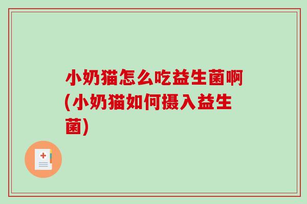 小奶猫怎么吃益生菌啊(小奶猫如何摄入益生菌)