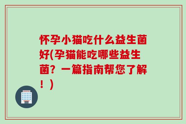 怀孕小猫吃什么益生菌好(孕猫能吃哪些益生菌？一篇指南帮您了解！)