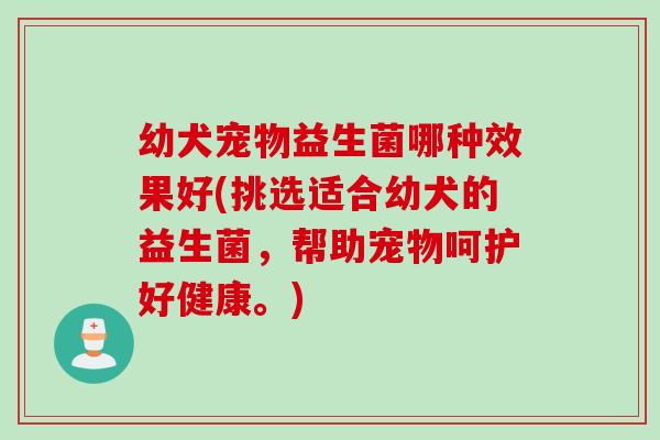 幼犬宠物益生菌哪种效果好(挑选适合幼犬的益生菌，帮助宠物呵护好健康。)