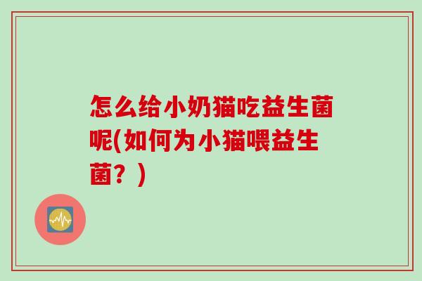 怎么给小奶猫吃益生菌呢(如何为小猫喂益生菌？)