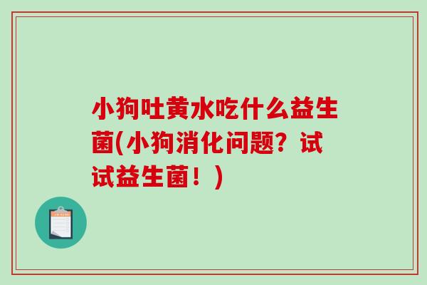 小狗吐黄水吃什么益生菌(小狗消化问题？试试益生菌！)