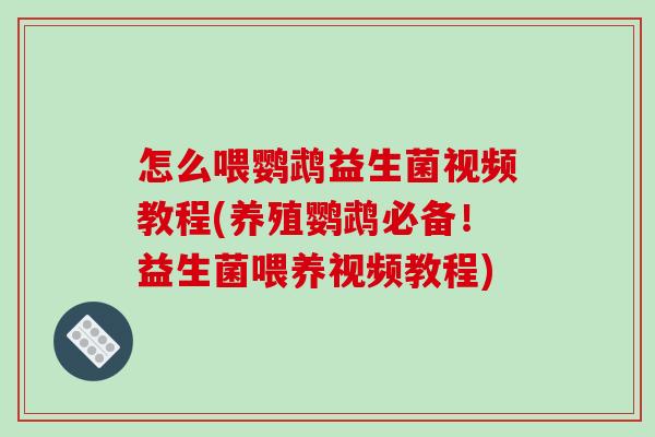 怎么喂鹦鹉益生菌视频教程(养殖鹦鹉必备！益生菌喂养视频教程)