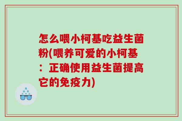 怎么喂小柯基吃益生菌粉(喂养可爱的小柯基：正确使用益生菌提高它的免疫力)