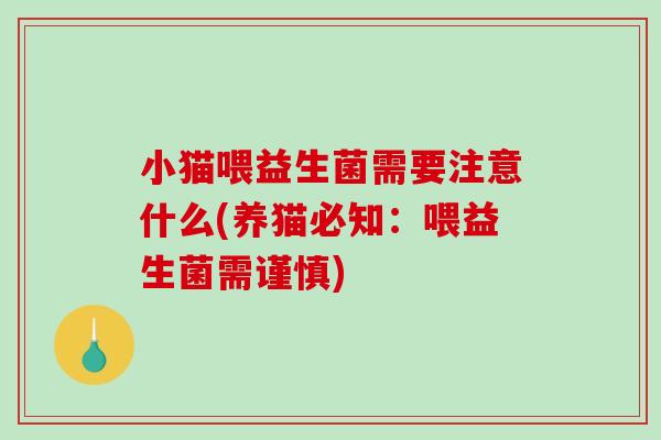 小猫喂益生菌需要注意什么(养猫必知：喂益生菌需谨慎)
