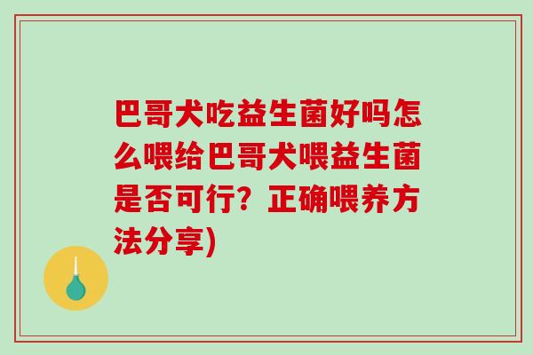 巴哥犬吃益生菌好吗怎么喂给巴哥犬喂益生菌是否可行？正确喂养方法分享)