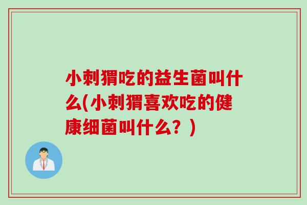 小刺猬吃的益生菌叫什么(小刺猬喜欢吃的健康细菌叫什么？)