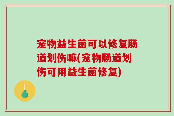 宠物益生菌可以修复肠道划伤嘛(宠物肠道划伤可用益生菌修复)